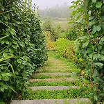 Daire Quinta Do Fortunato-casa Dos Caseiros-minho, Viana Do Castelo, Meixedo-turismo Rural *