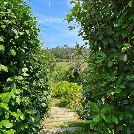 Quinta Do Fortunato-casa Dos Caseiros-minho, Viana Do Castelo, Meixedo-turismo Rural 公寓