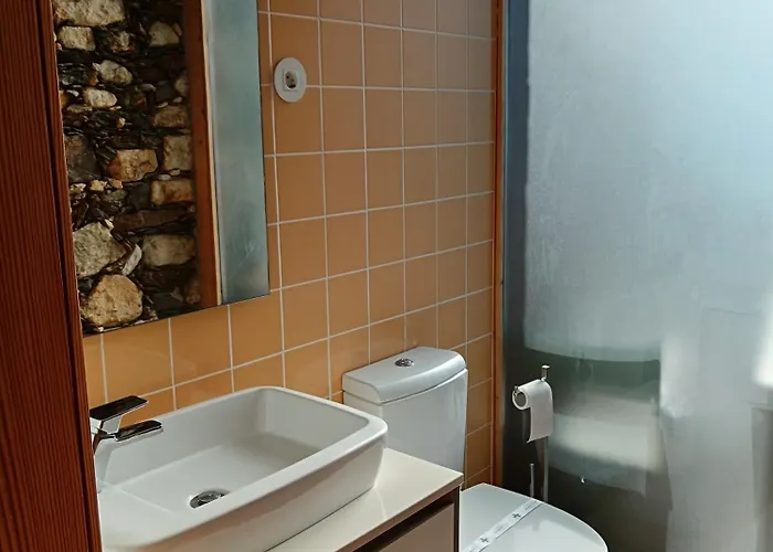 アパート Quinta Do Fortunato-casa Dos Caseiros-minho, Viana Do Castelo, Meixedo-turismo Rural *