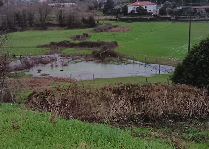 Quinta Do Fortunato-casa Dos Caseiros-minho, Viana Do Castelo, Meixedo-turismo Rural شقة