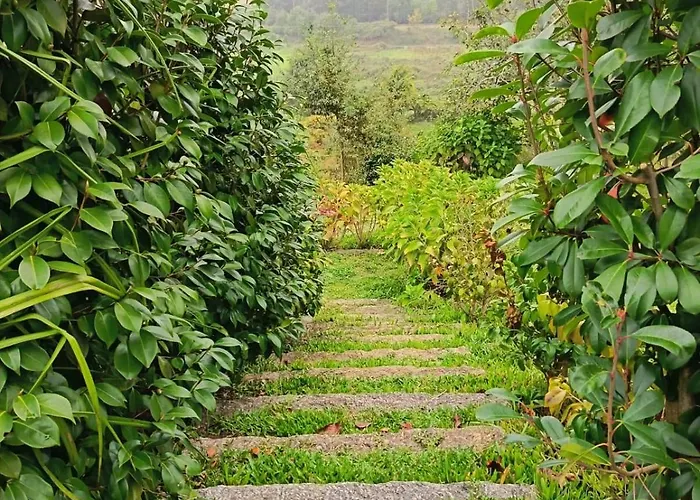 公寓 Quinta Do Fortunato-casa Dos Caseiros-minho, Viana Do Castelo, Meixedo-turismo Rural *